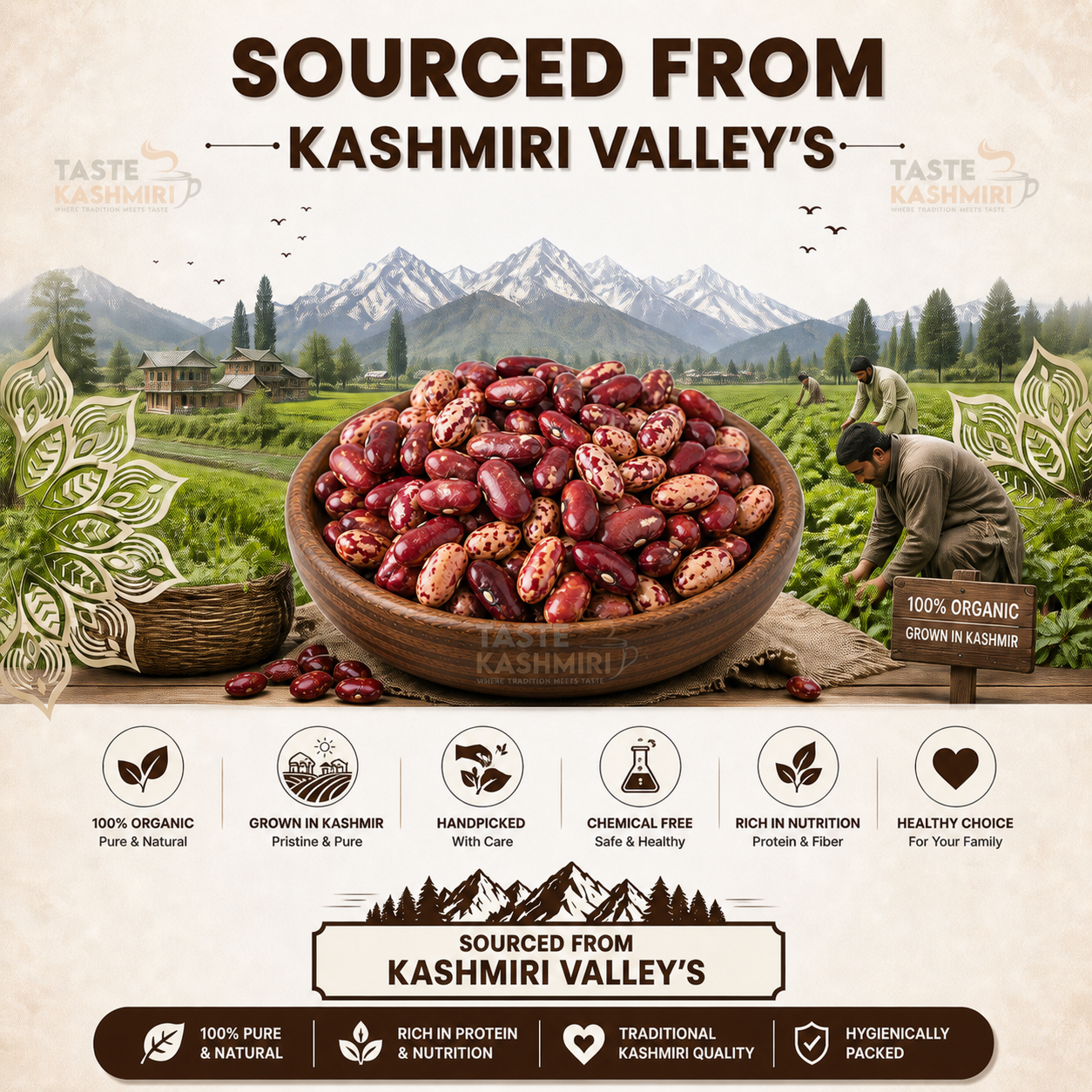 Taste Kashmiri Neelum Valley Rajma – Handpicked Organic Desi Red Beans Sun Dried